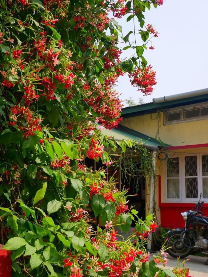 Gibbon Backpackers Hostel Gauháti Kültér fotó